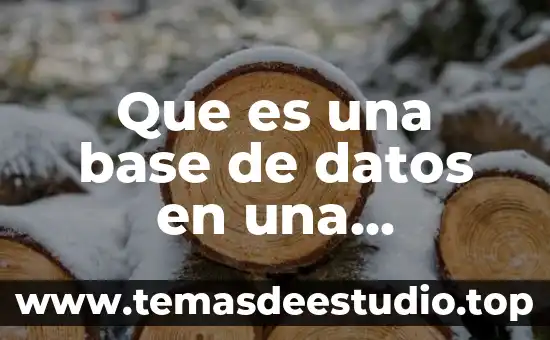 Qué es el rescate selectivo en obra civil 4 Que es una base de datos en una empresa