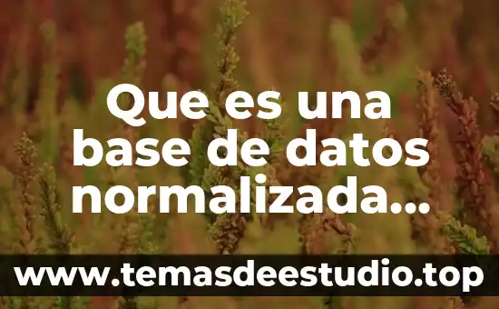 Objeto de normalización que es 7 Que es una base de datos normalizada niveles de normalización