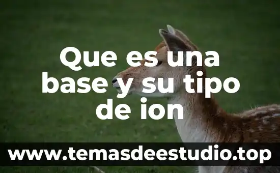Que es una base y su tipo de ion