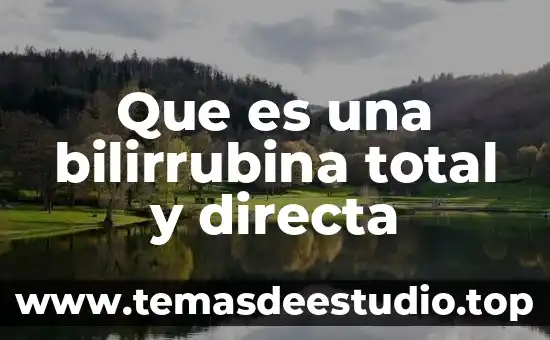 Que es una bilirrubina total y directa