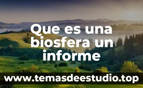 Informe psicológico que es 5 Que es una biosfera un informe