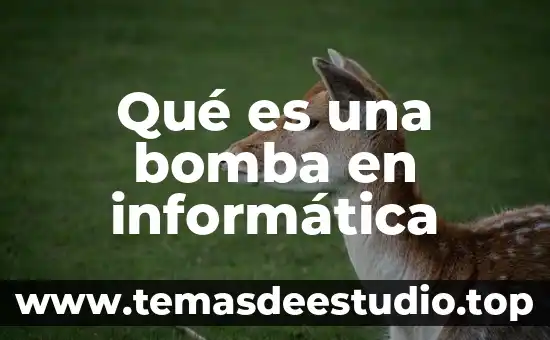 Qué es una bomba en informática