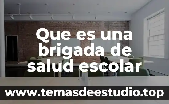 Que es una creencia en salud 7 Que es una brigada de salud escolar