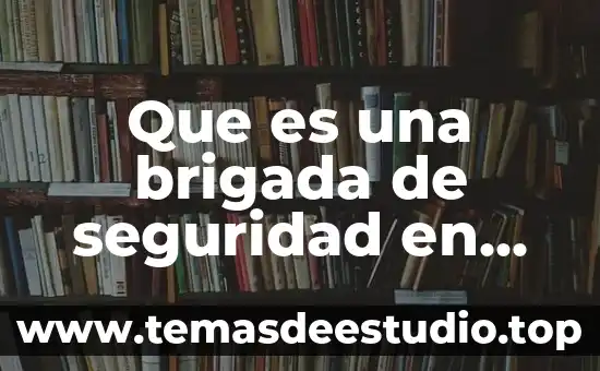 Que es una brigada de seguridad en un