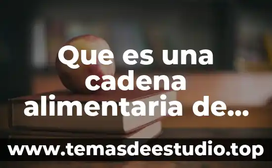 Que es la entrega de valores ala cadena de suministros 8 Que es una cadena alimentaria de valor y produccion