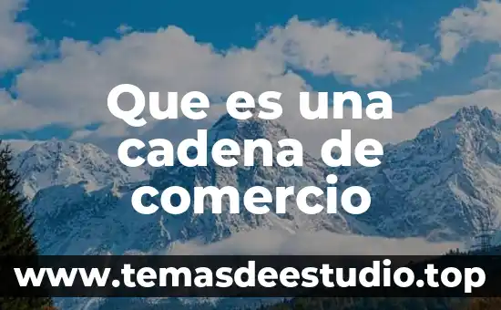 Que es una cadena de comercio