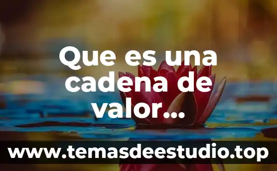 Consiste valor que es la justicia 5 Que es una cadena de valor gasolineara
