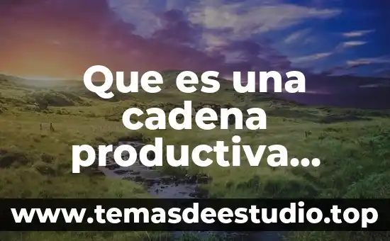 Que es la entrega de valores ala cadena de suministros 3 Que es una cadena productiva sustentable