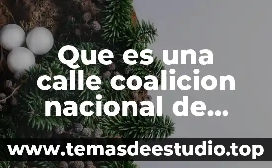 Afirmación que se refiere a lo que es 3 Que es una calle coalicion nacional de calles completas