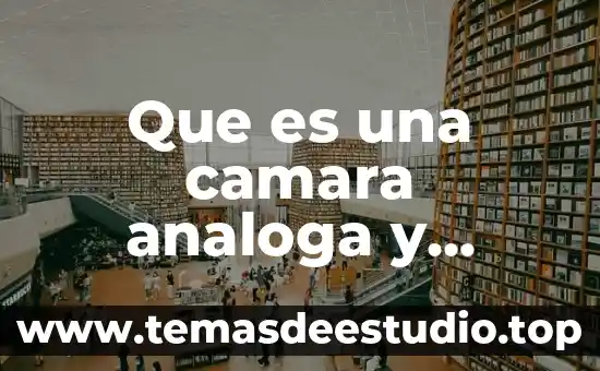 Qué es un movimiento de cámara 3 Que es una camara analoga y digital