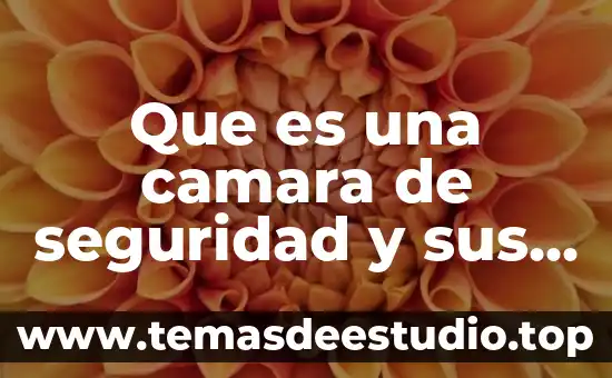 Qué es un movimiento de cámara 7 Que es una camara de seguridad y sus funciones