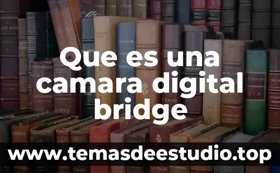 Qué es un movimiento de cámara 4 Que es una camara digital bridge