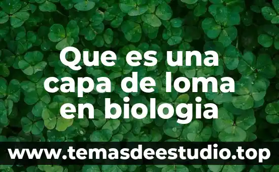 Que es division animal en biologia 8 Que es una capa de loma en biologia
