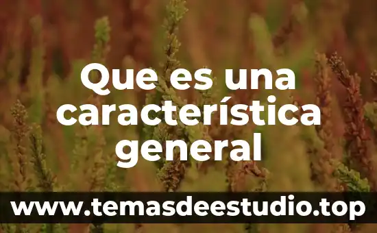 Que es una característica general