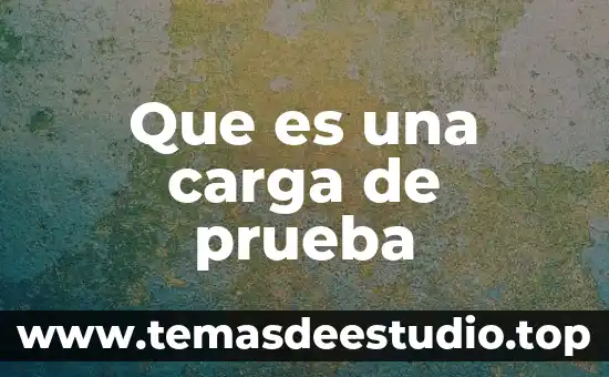 Que es una carga de prueba
