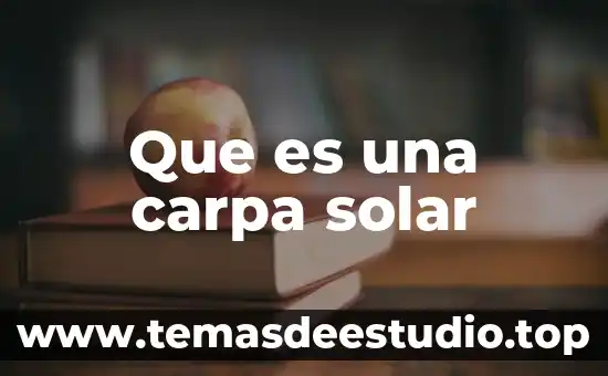 Que es una carpa solar