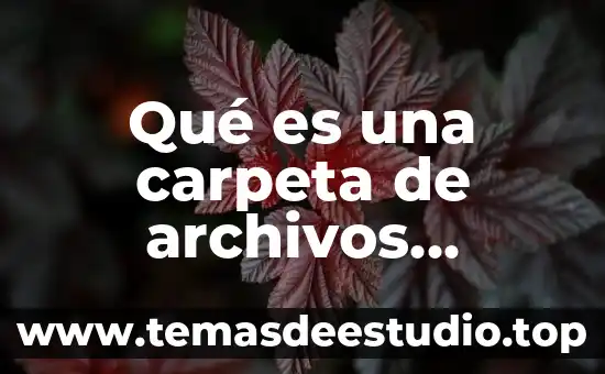 Que es una carpeta informativa 5 Qué es una carpeta de archivos comunes