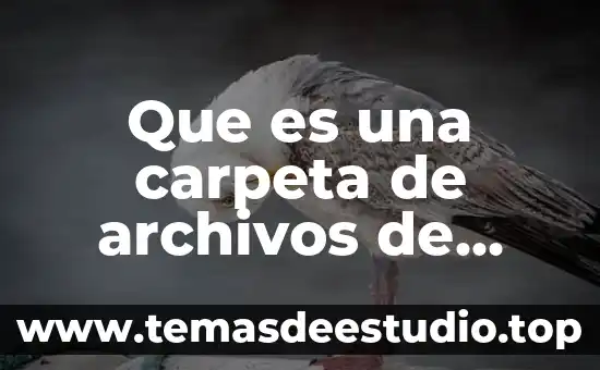 Que es una carpeta informativa 6 Que es una carpeta de archivos de programa