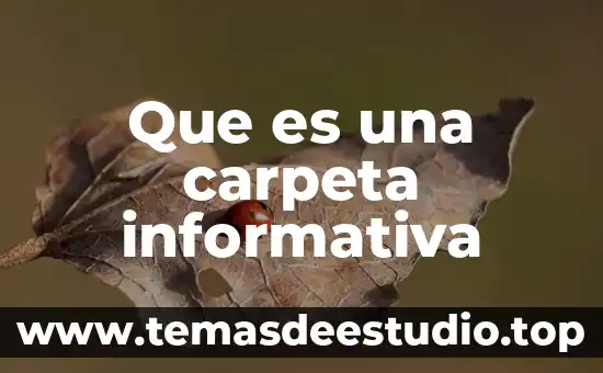 Que es una carpeta t red 8 Que es una carpeta informativa