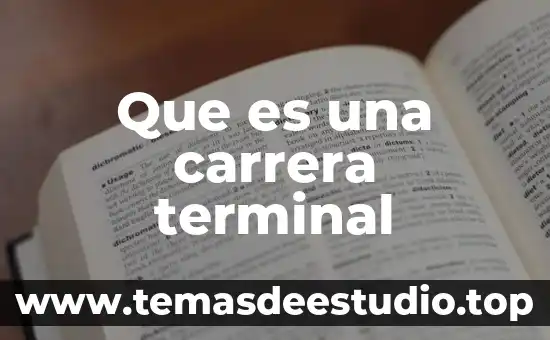 Qué es la carrera ingeniería en administración 4 Que es una carrera terminal