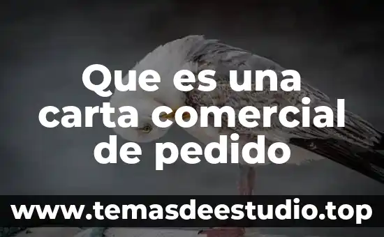 Que es el nombre comercial de una empresa ejemplos 7 Que es una carta comercial de pedido