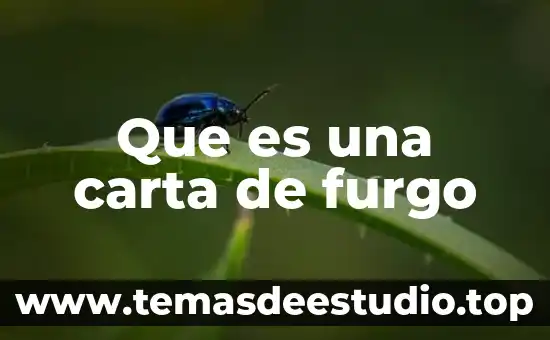 Que es una carta progresada significado 7 Que es una carta de furgo