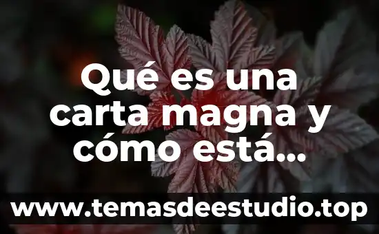 Que es un plantamiento del asunto de una carta 5 Qué es una carta magna y cómo está dividida