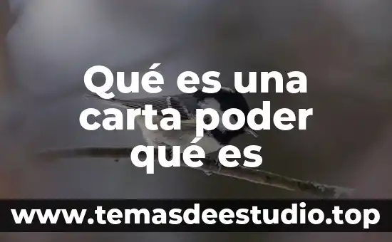 Qué es el ente del poder ejecutivo en México 8 Qué es una carta poder qué es