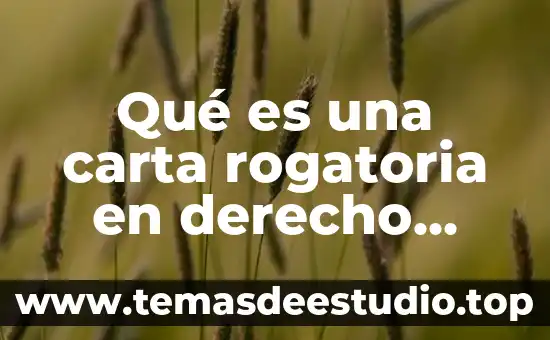 Qué es una carta rogatoria en derecho internacional privado