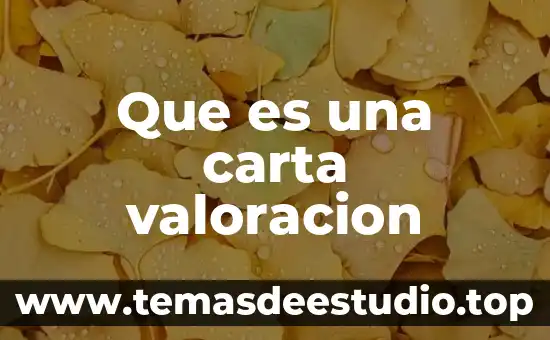 Que es una carta valoracion