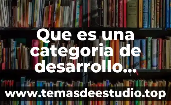 Que es una categoria de desarrollo economico