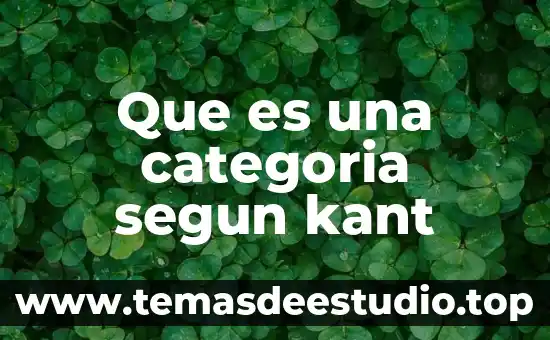 Kant que es la ilustración filosofia de la historia 3 Que es una categoria segun kant