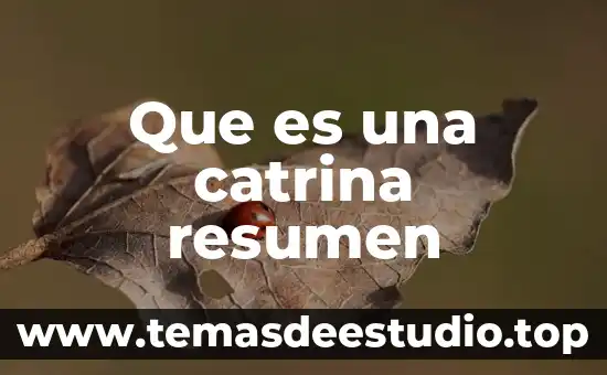 Conclusión de que es la publicidad 7 Que es una catrina resumen