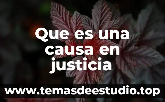 Que es una causa en justicia