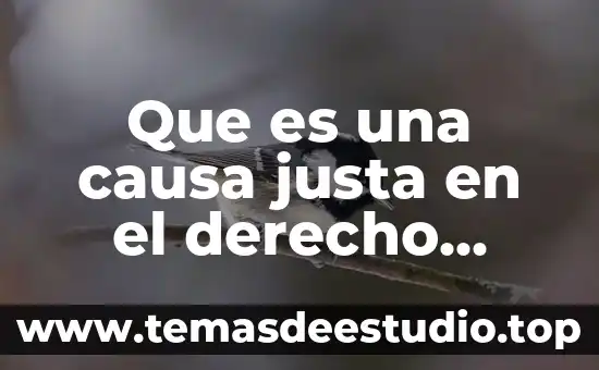 Que es el procedimiento extraordinario en derecho romano 8 Que es una causa justa en el derecho romano