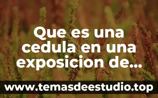 Que es una cedula en una exposicion de arte