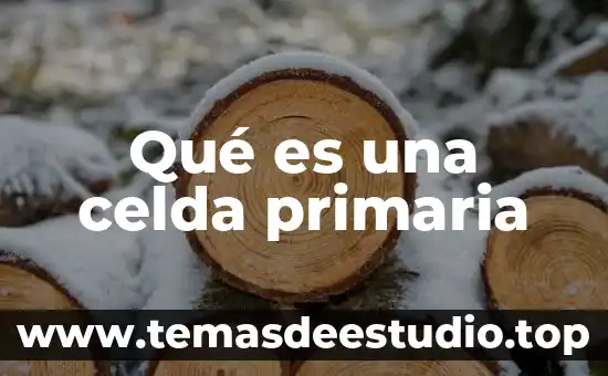 Que es el dinero para niños de primaria primer grado 3 Qué es una celda primaria