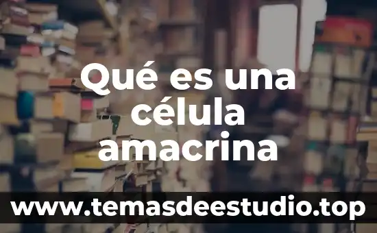 Definicion de mito que es significado y concepto 7 Qué es una célula amacrina