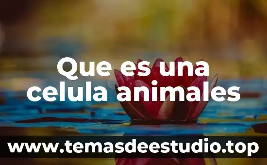 Que es lo que causa que los animales se extingan 7 Que es una celula animales