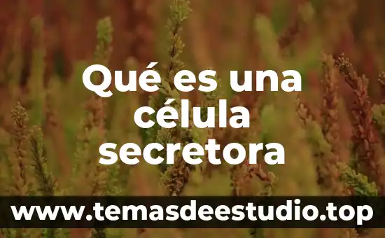 Qué es el mitocondria de la célula animal función 8 Qué es una célula secretora