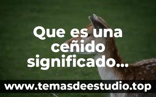 Estudio bíblico que es un ídolo 7 Que es una ceñido significado biblico wikicristiano