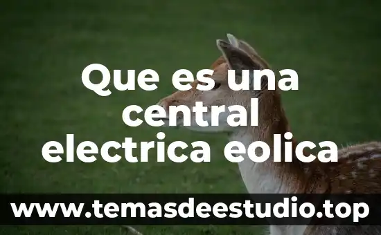 Que es una planta de energia eolica 8 Que es una central electrica eolica