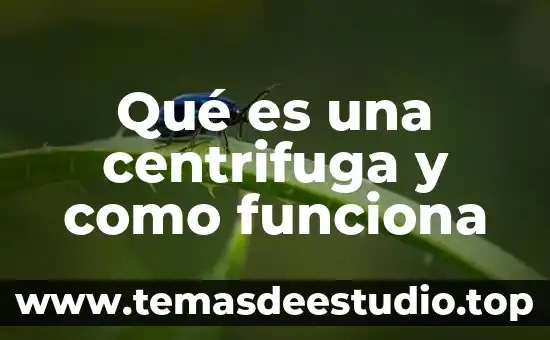Que es la libertad en las actividades sociales 8 Qué es una centrifuga y como funciona