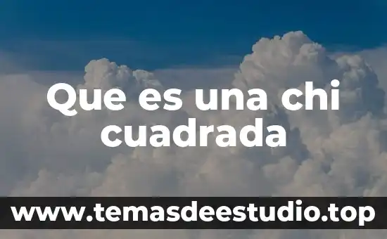 Que es nariz cuadrada 3 Que es una chi cuadrada