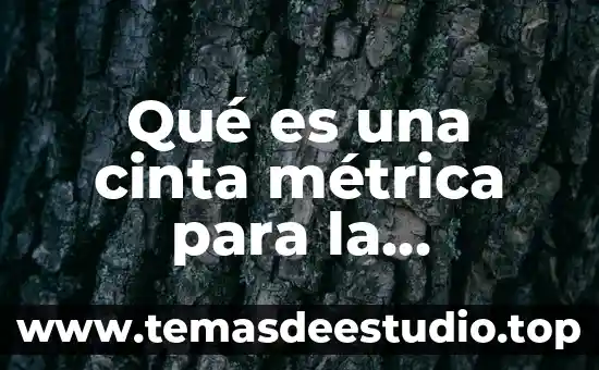 Que es la arquitectura paleolítica probens 5 Qué es una cinta métrica para la arquitectura