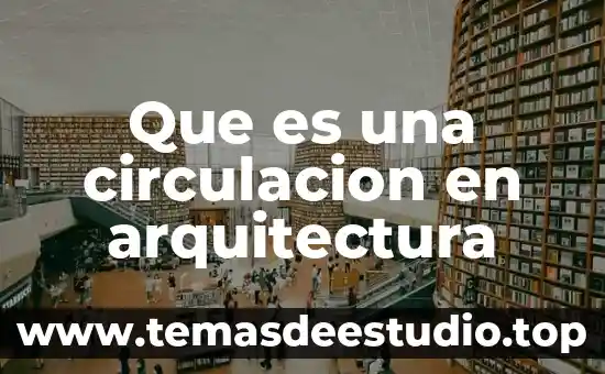 Que es una circulacion en arquitectura