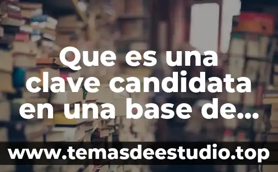 Base metil que es 8 Que es una clave candidata en una base de datos