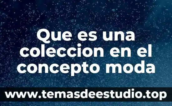 Que es un concepto rector 8 Que es una coleccion en el concepto moda