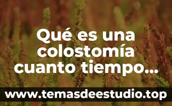 Que es tiempo de fabricación 5 Qué es una colostomía cuanto tiempo dura