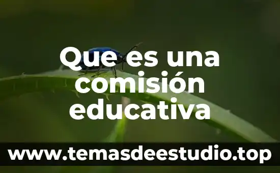 Comisión estatal de derechos humanos de nuevo león que es 6 Que es una comisión educativa